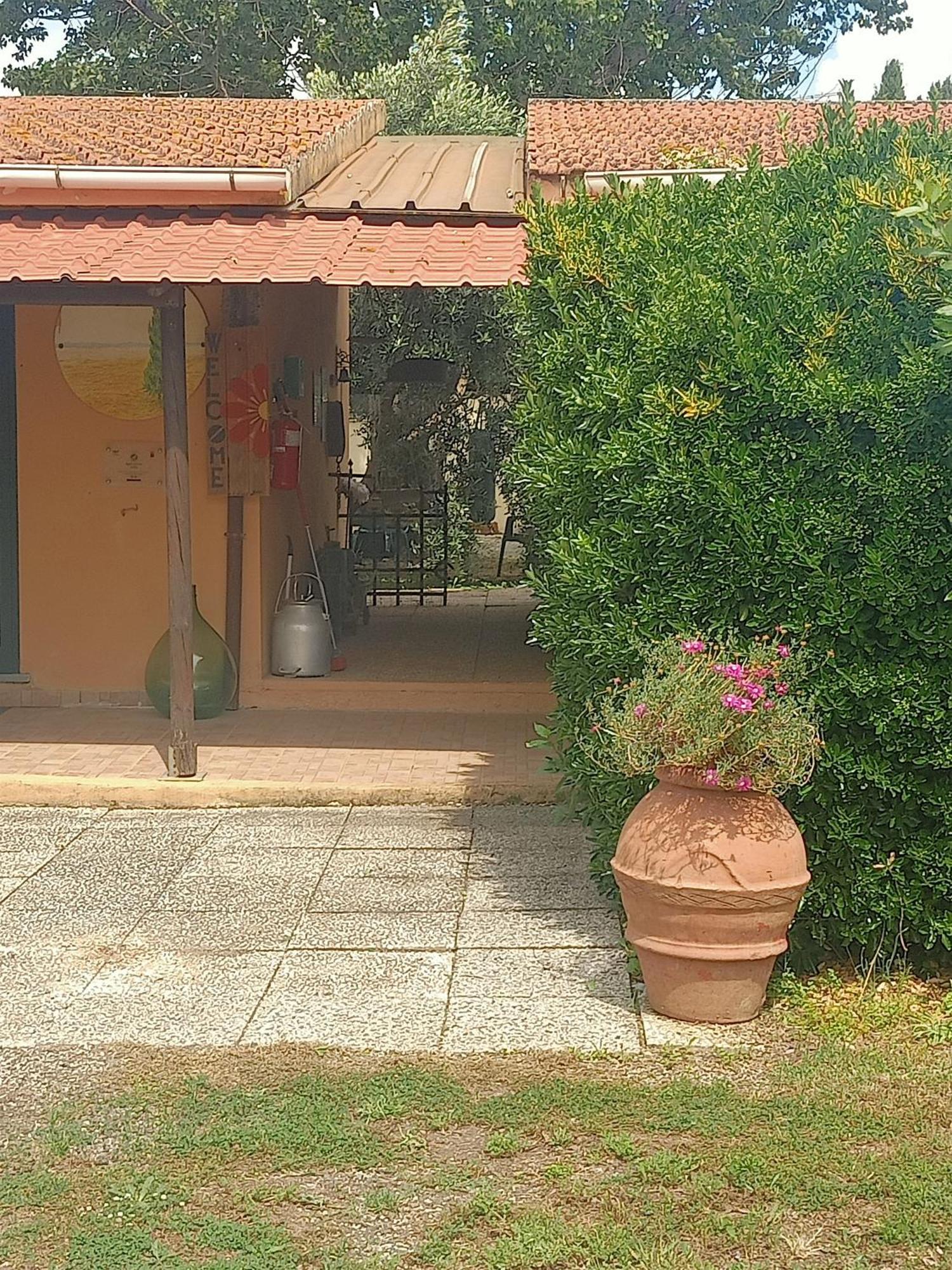 Agriturismo Il Cipresso Vada Exterior foto